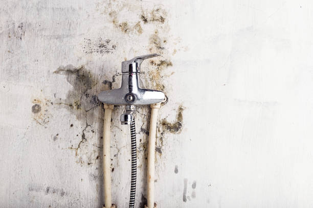 Mold Testing and Removal in Cochituate, MA