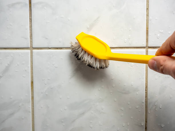 Best Attic Mold Removal  in Cochituate, MA