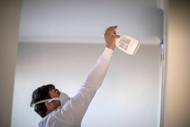 Best Mold Remediation  in Cochituate, MA