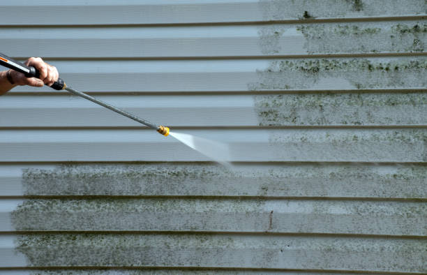 Best Attic Mold Removal  in Cochituate, MA