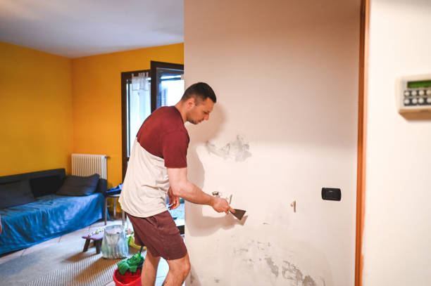 Home Mold Removal in Cochituate, MA