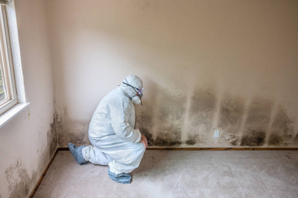 Water Damage Restoration in Cochituate, MA